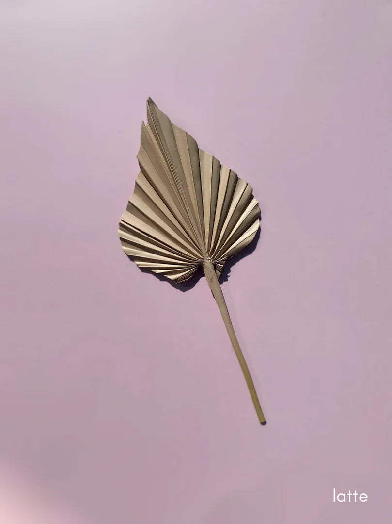 Spear Palm Nude Range